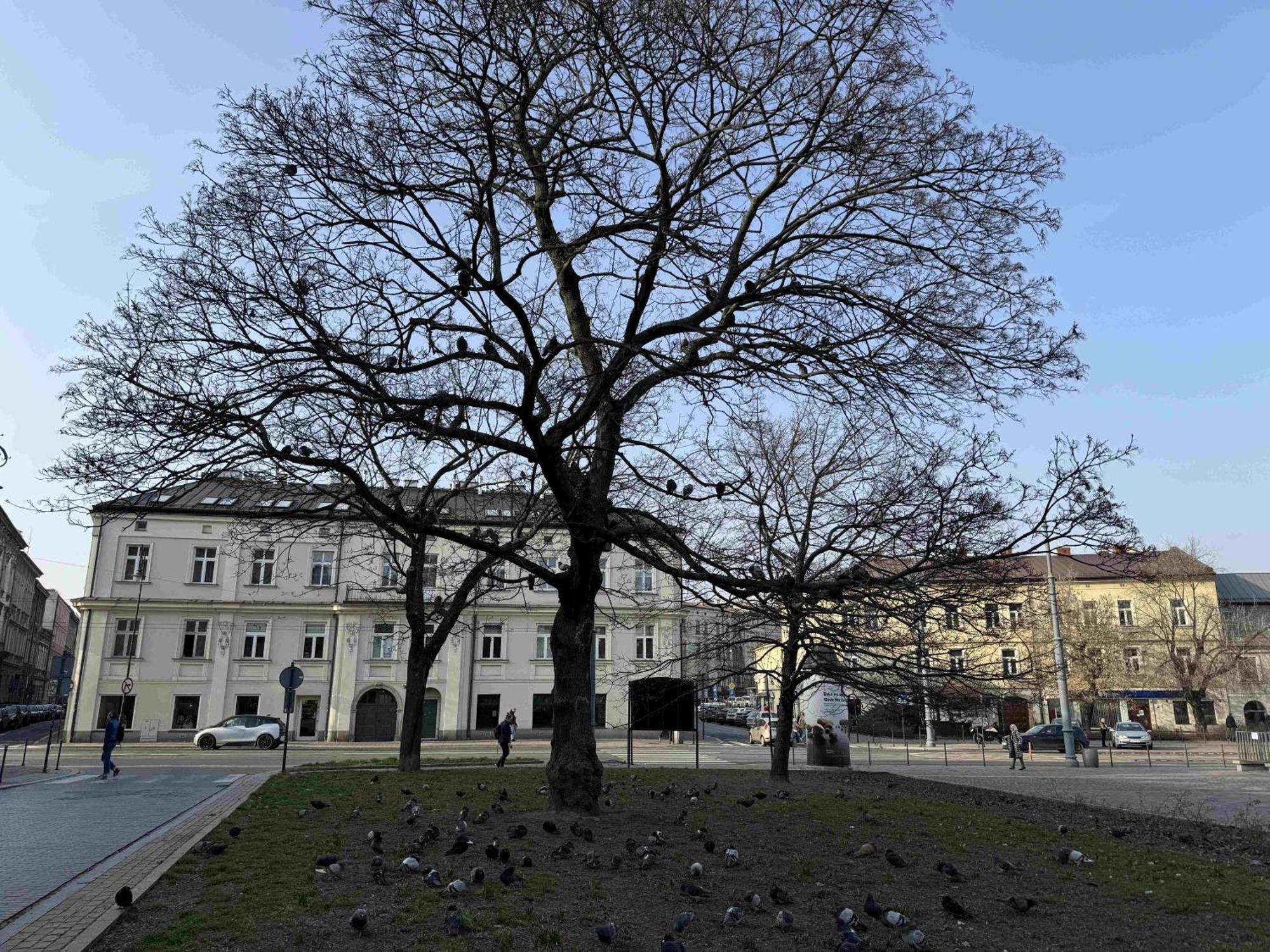 Art Stare Podgorze Free Parking * Krakau